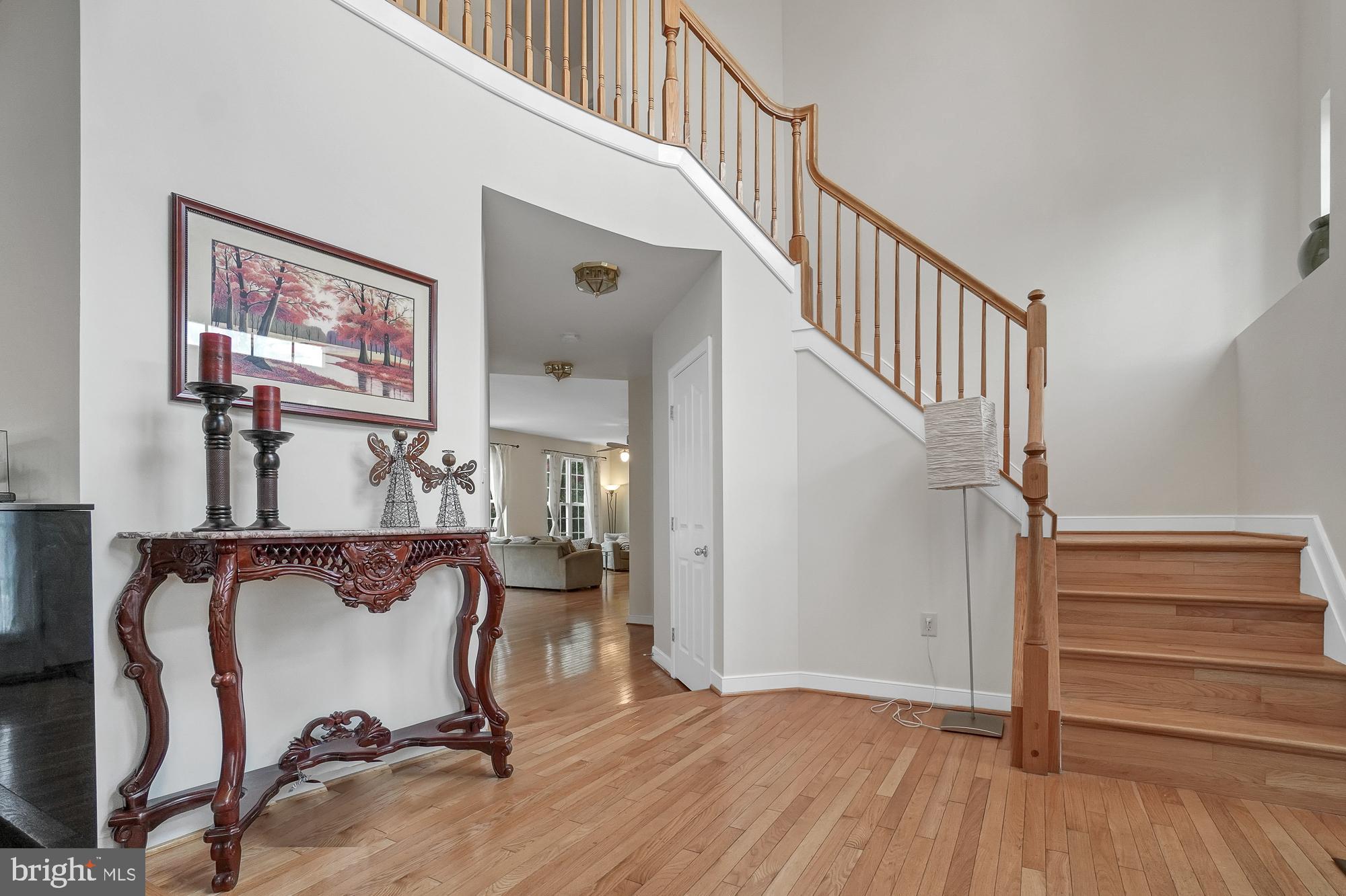 8059 High Castle Road Ellicott City, MD 21043 - Photo 4 of 45 Two story foyer