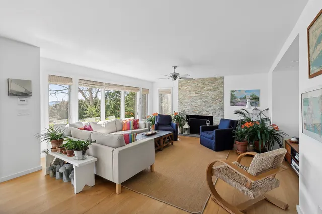 a living room with furniture potted plant and a fireplace