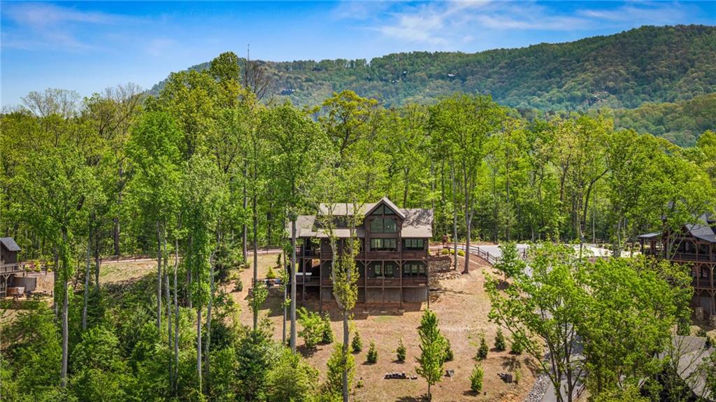 802 Overlook Drive Blue Ridge, GA 30513 - Photo 9 of 90
