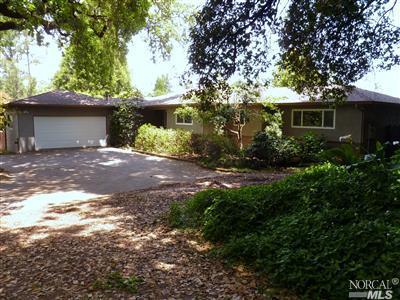 295 Bloomfield Road Sebastopol, CA 95472 - Photo 1 of 1 a view of a yard with plants and a large tree