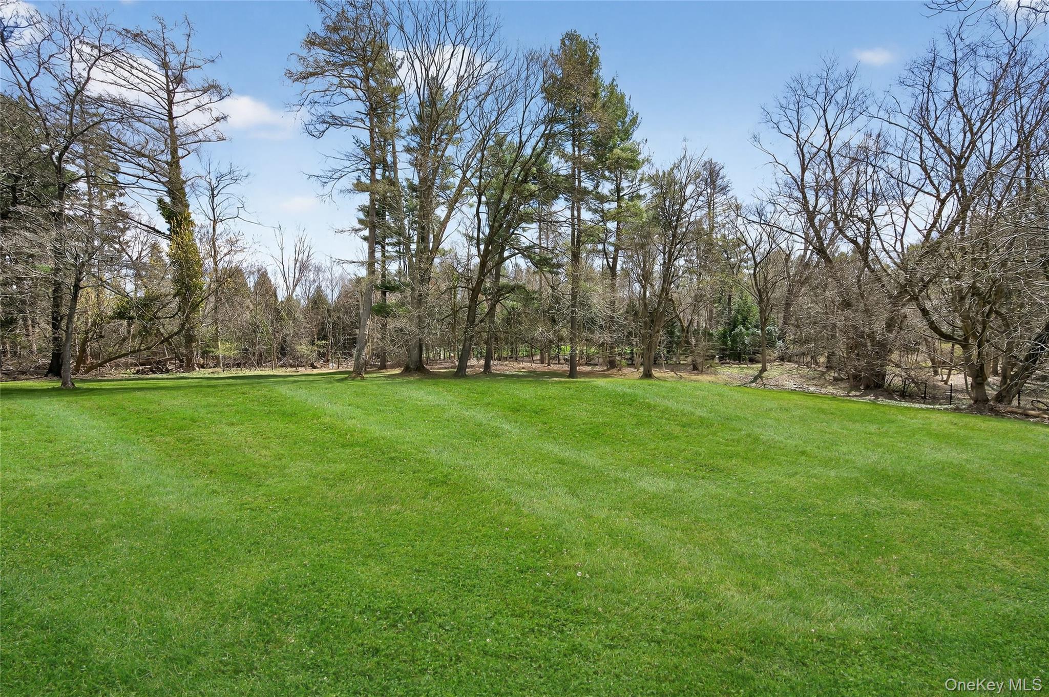 1862 Muttontown Road Syosset, NY 11791 - Photo 30 of 33