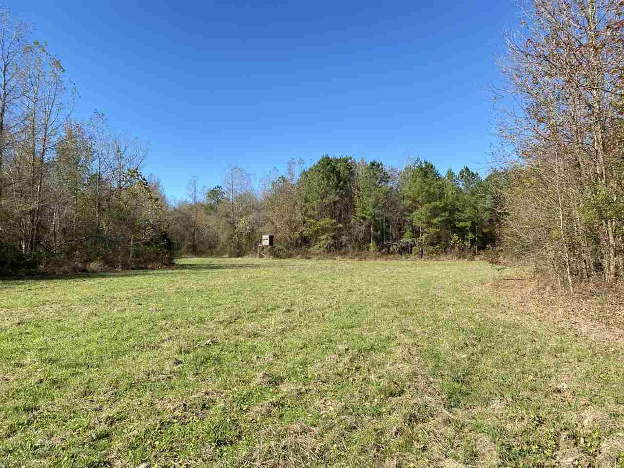 0 Harrison Road Duck Hill, MS 38925 - Photo 15 of 21 Photo 15
