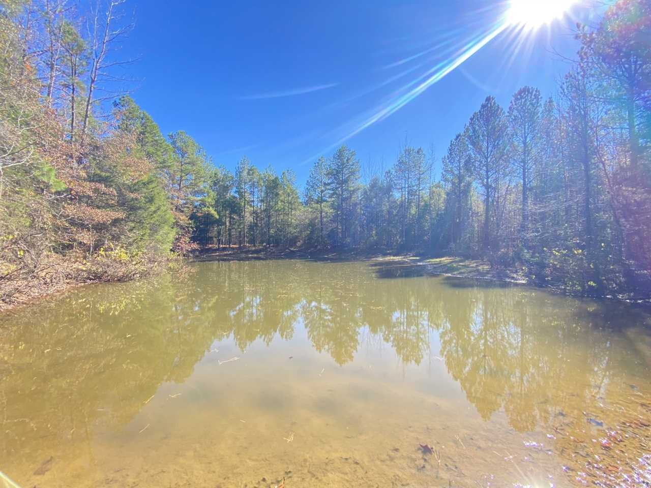 0 Harrison Road Duck Hill, MS 38925 - Photo 16 of 21 Photo 16