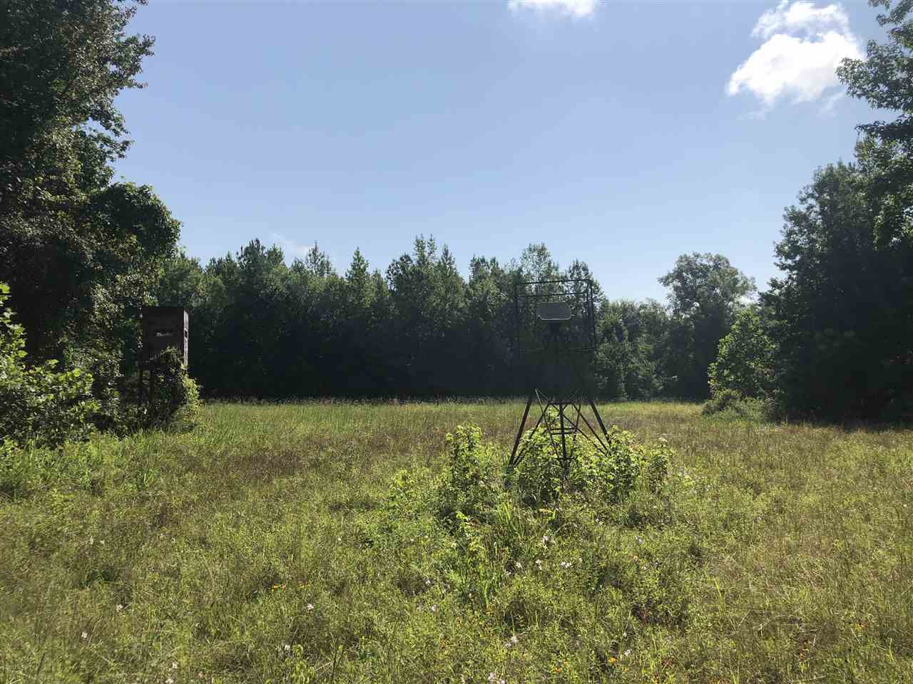 0 Harrison Road Duck Hill, MS 38925 - Photo 3 of 21 Photo 3