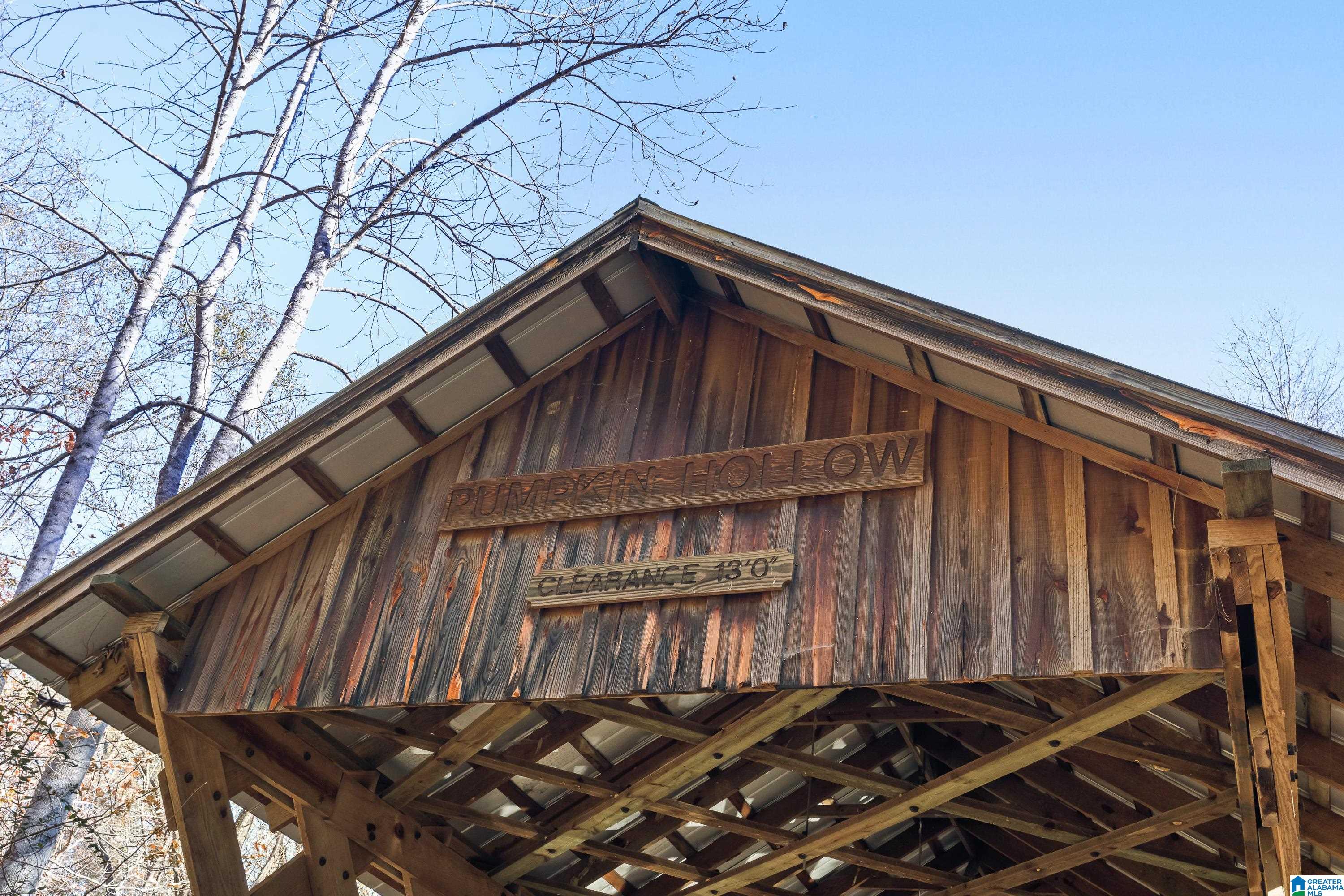 0 Pumpkin Hollow Road Sterrett, AL 35147 - Photo 11 of 55