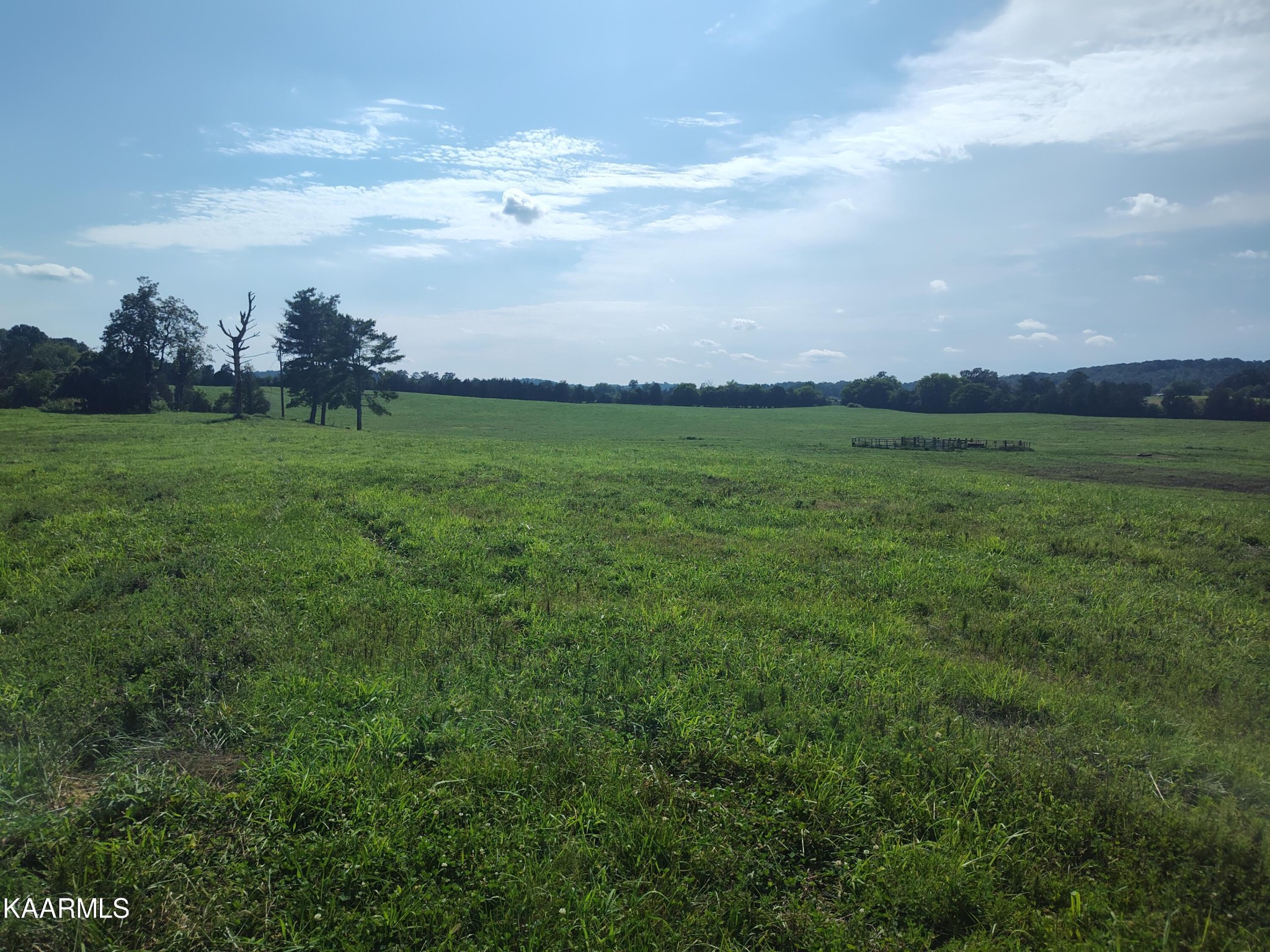 6985 Craigs Chapel Road Greenback, TN 37742 - Photo 6 of 24 Gallery Image 6