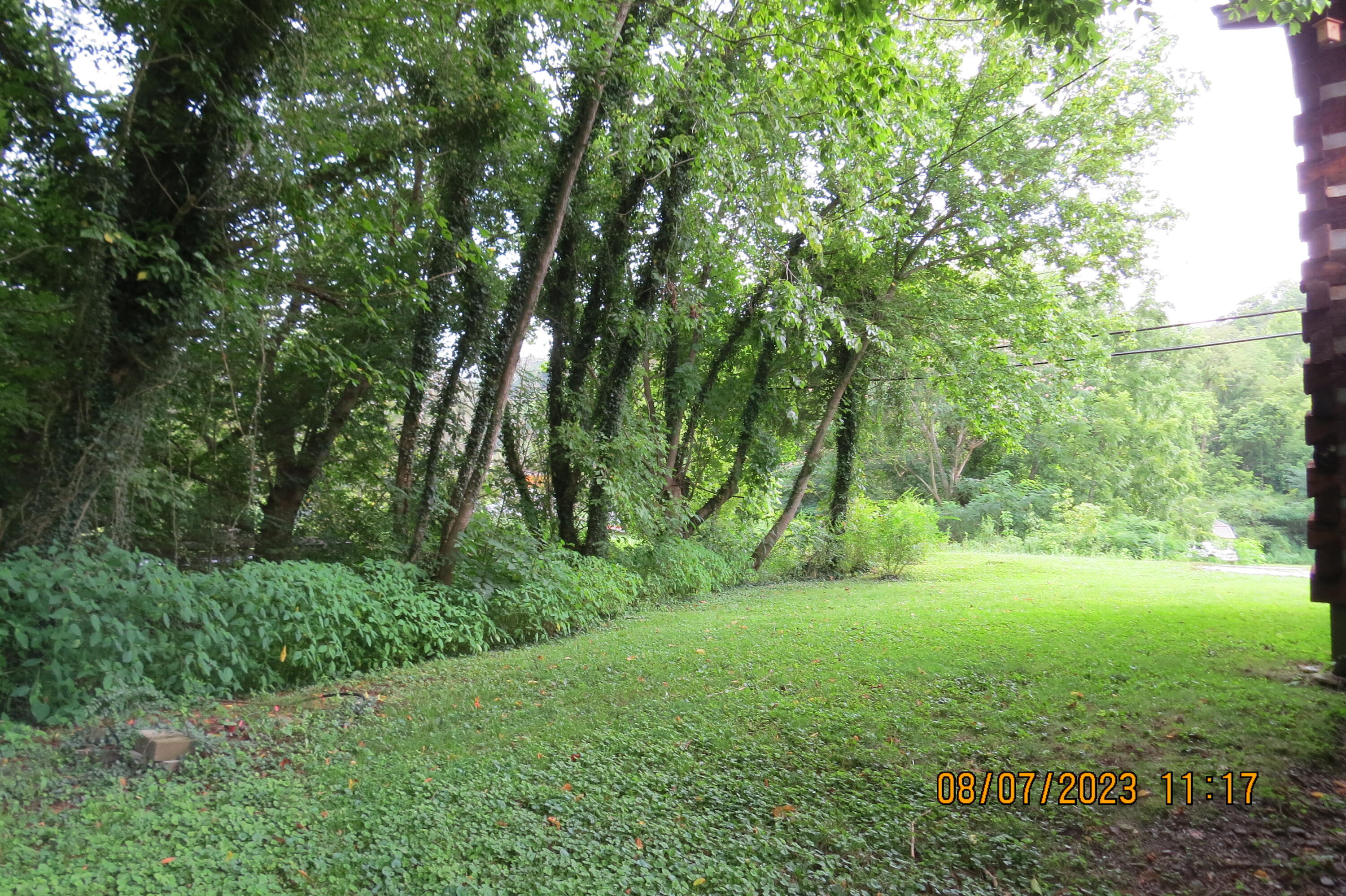 437 Fresh Meadows Road Dayhoit, KY 40824 - Photo 113 of 115 IMG_6971