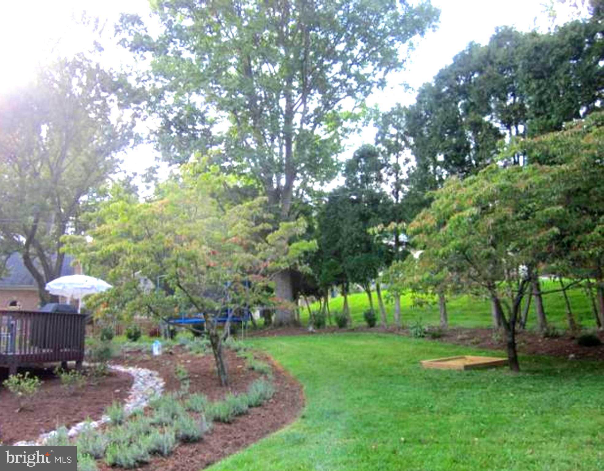 11001 Brent Road Potomac, MD 20854 - Photo 5 of 23 a view of a backyard with large trees