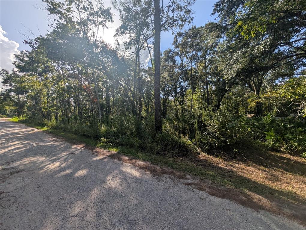 0 Tulane Street New Port Richey, FL 34654 - Photo 2 of 7