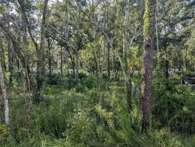 $24,000 | 0 Tulane Street, New Port Richey, FL 34654