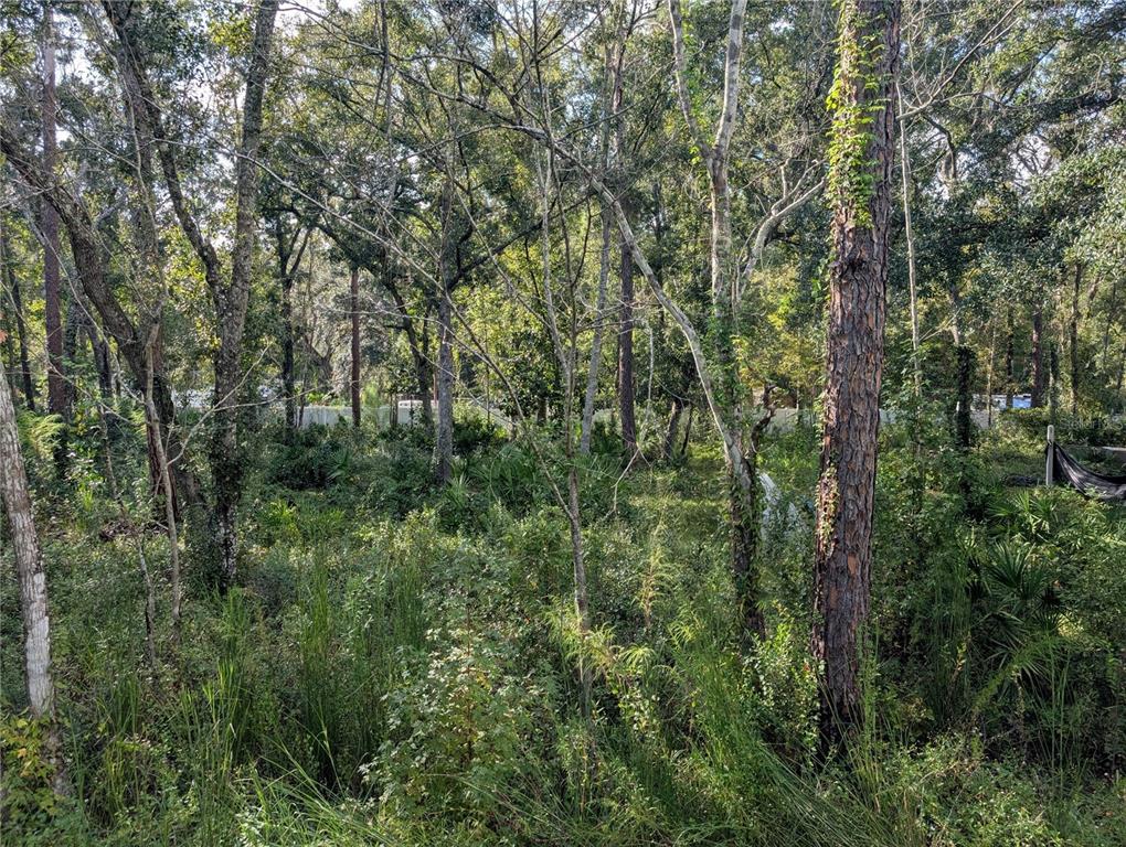 0 Tulane Street New Port Richey, FL 34654 - Photo 3 of 7