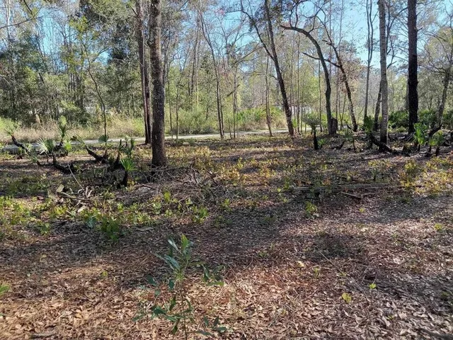 $24,000 | 0 Tulane Street, New Port Richey, FL 34654