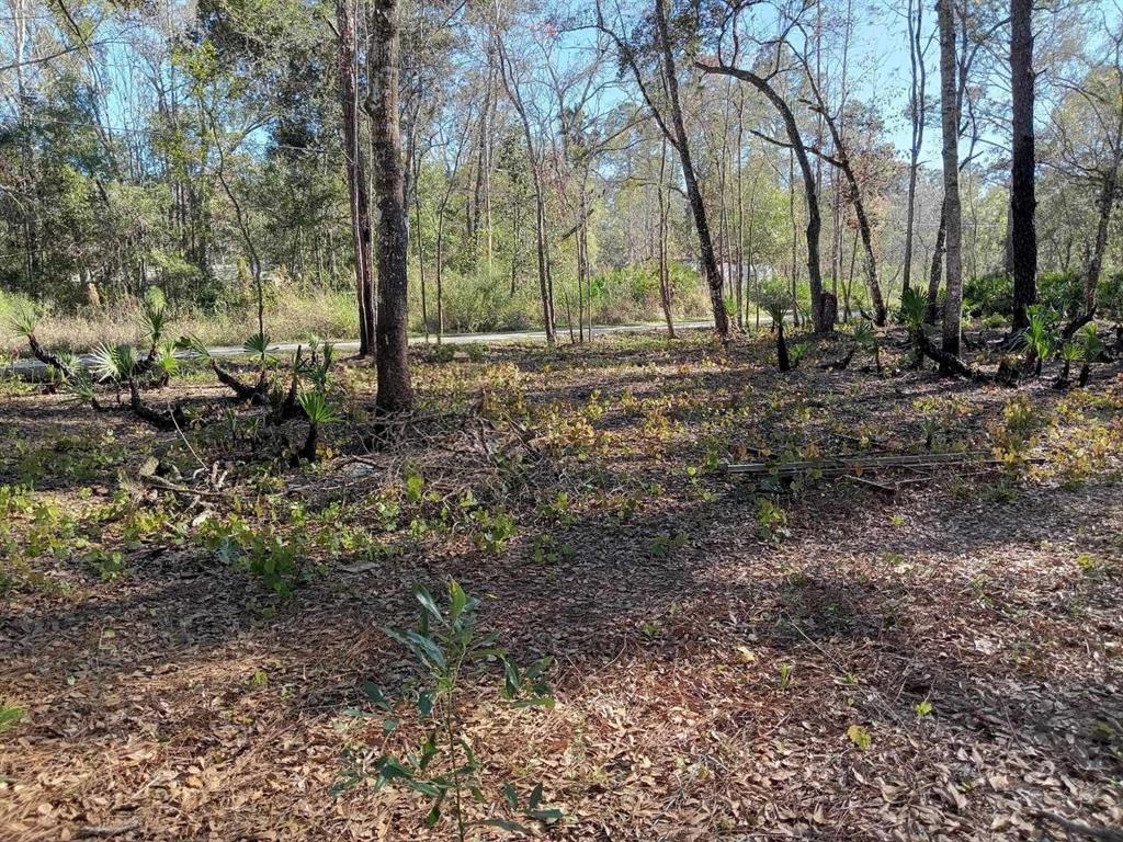 0 Tulane Street New Port Richey, FL 34654 - Photo 5 of 7