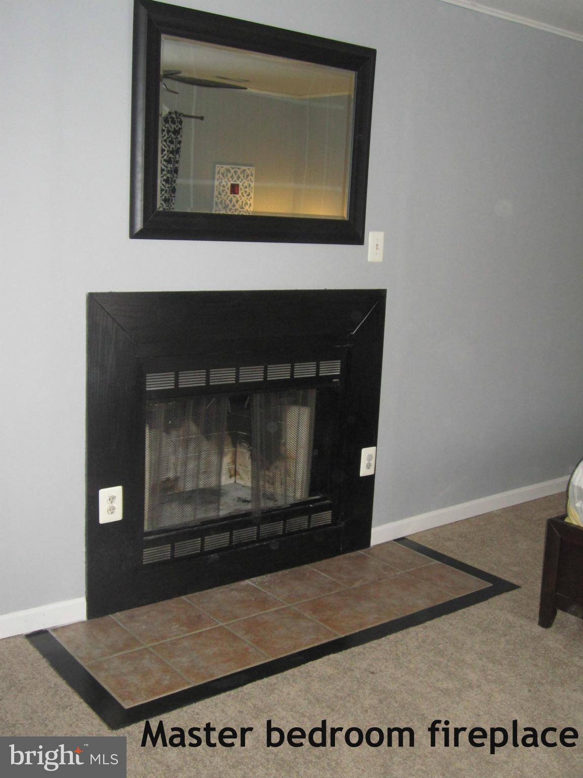 401 Prospect Mill Road Bel Air, MD 21015 - Photo 15 of 26 Master bedroom fireplace