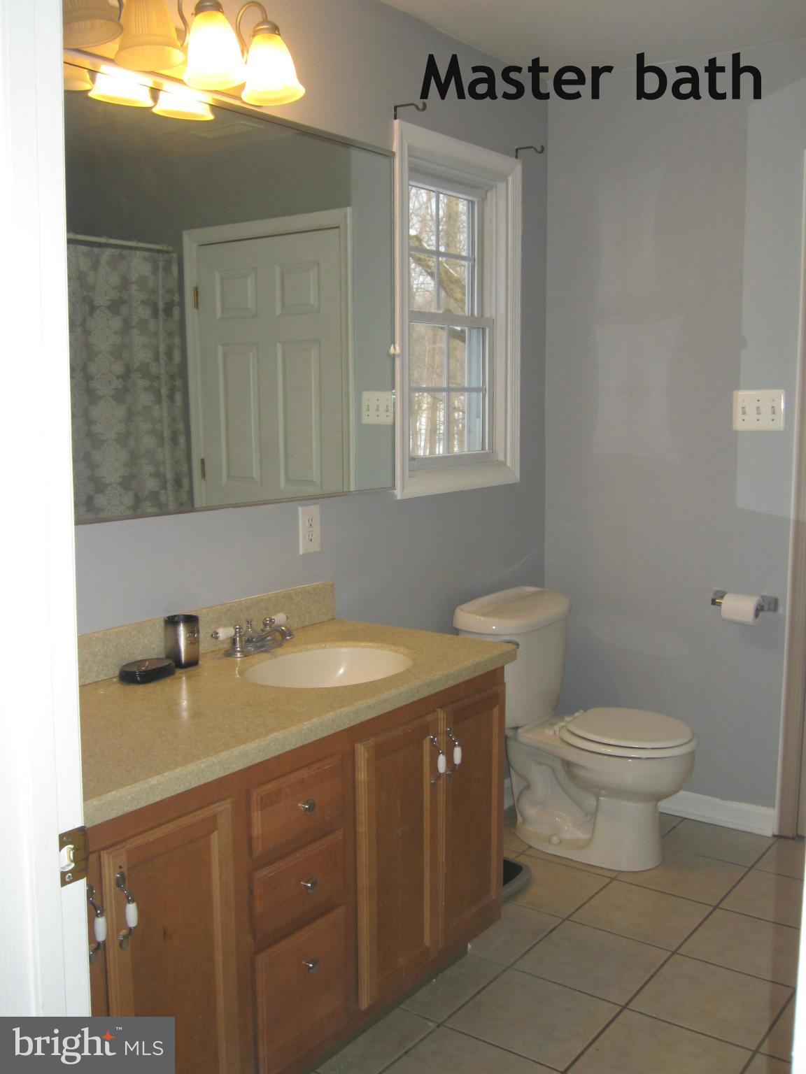 401 Prospect Mill Road Bel Air, MD 21015 - Photo 16 of 26 Bath (Master)