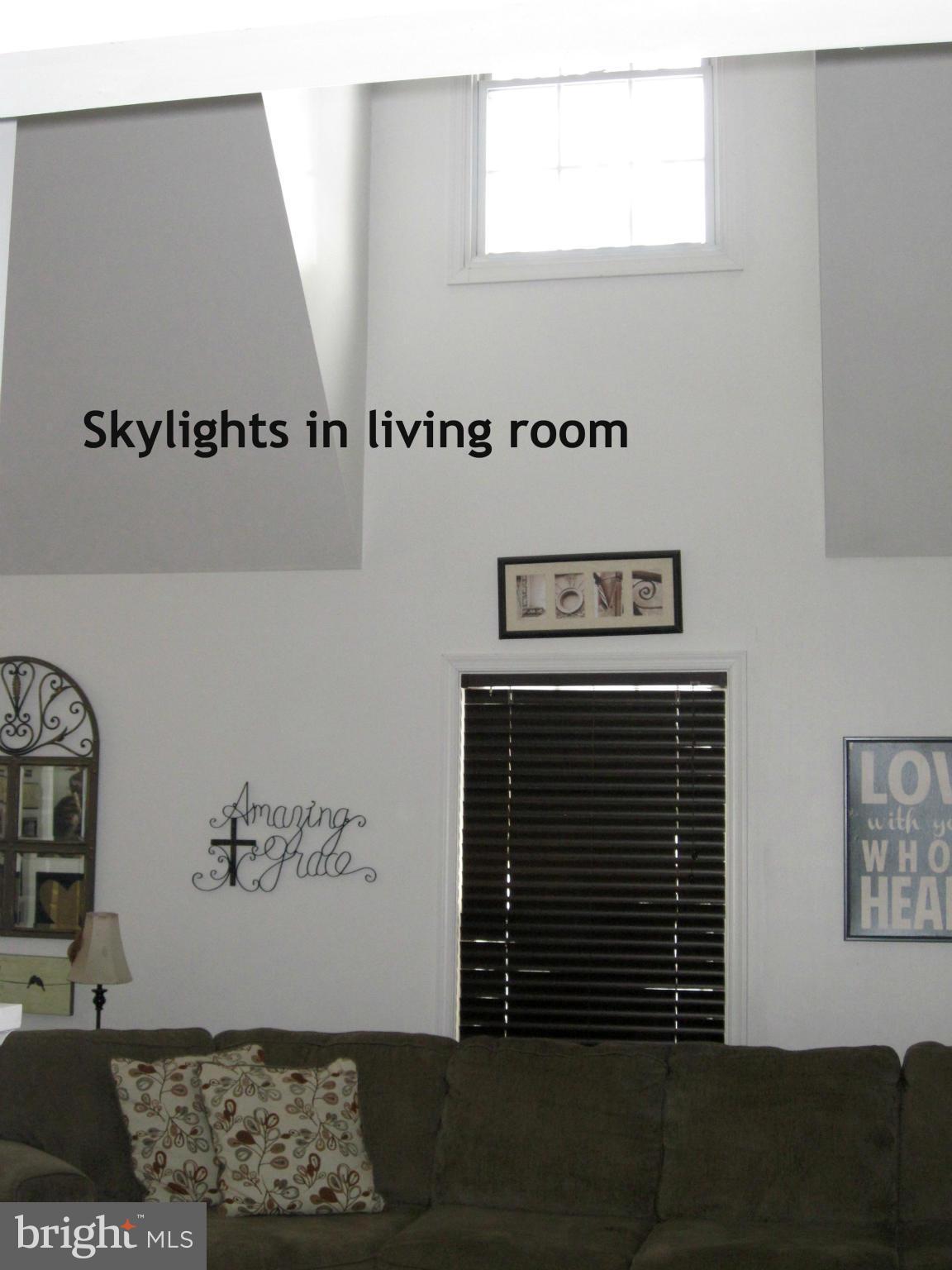 401 Prospect Mill Road Bel Air, MD 21015 - Photo 7 of 26 Living Room skylights