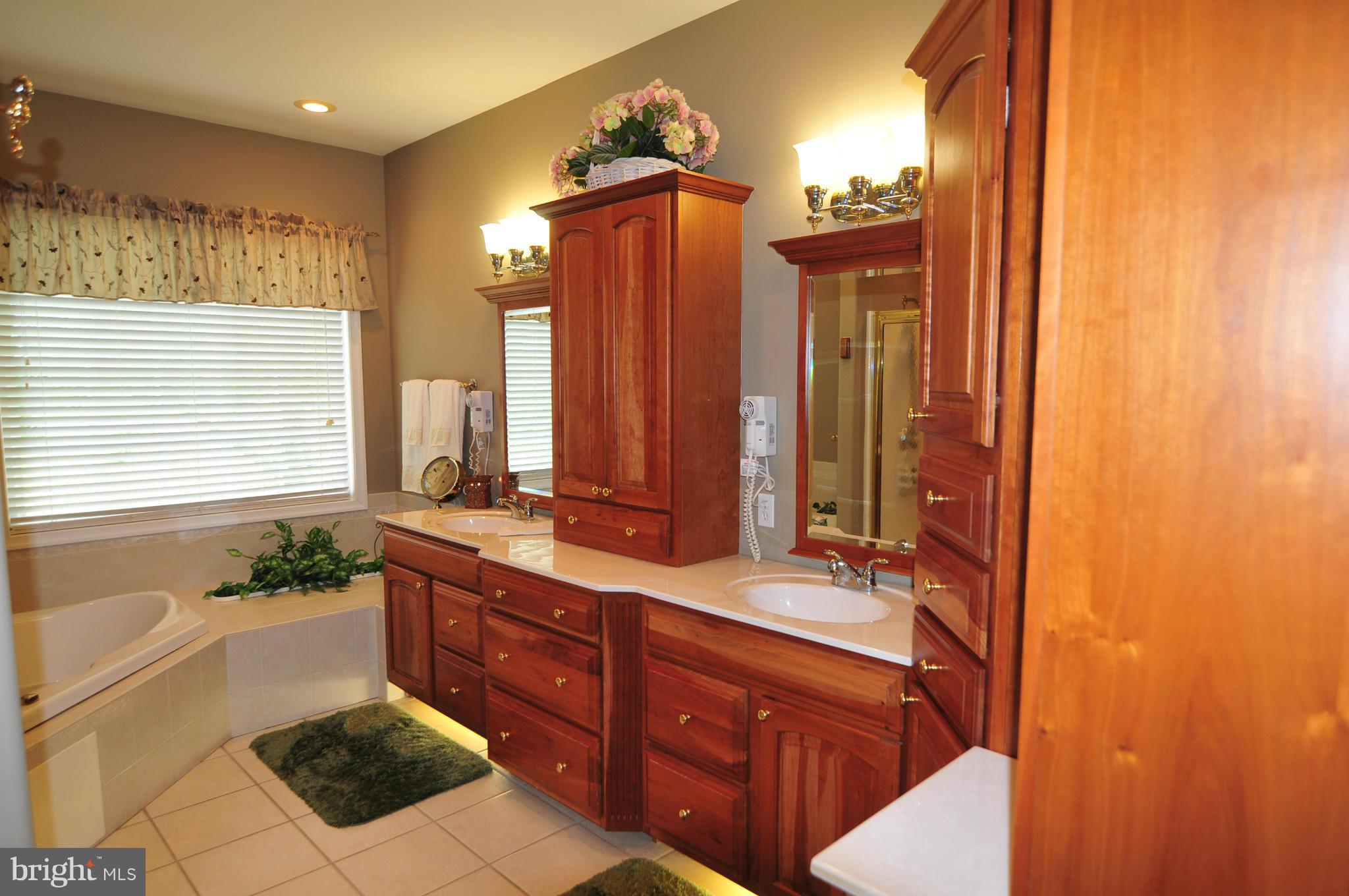 65 Clemencia Road Earleville, MD 21919 - Photo 8 of 29 Bath (Master)
