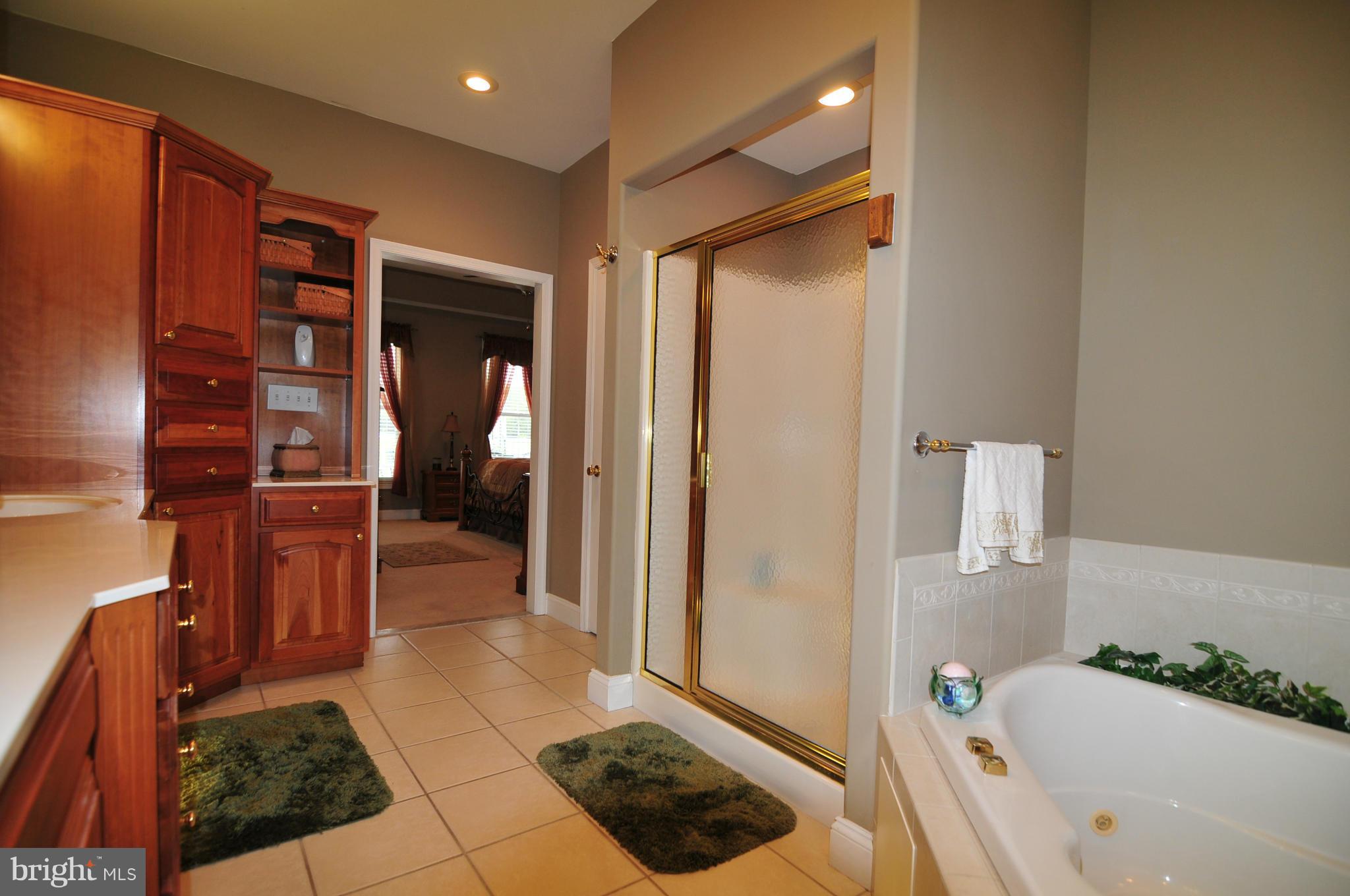 65 Clemencia Road Earleville, MD 21919 - Photo 9 of 29 Bath (Master)