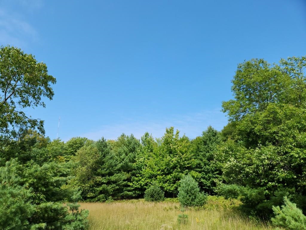 Off Crawford Lake Road Northeast Kalkaska, MI 49646 - Photo 2 of 25