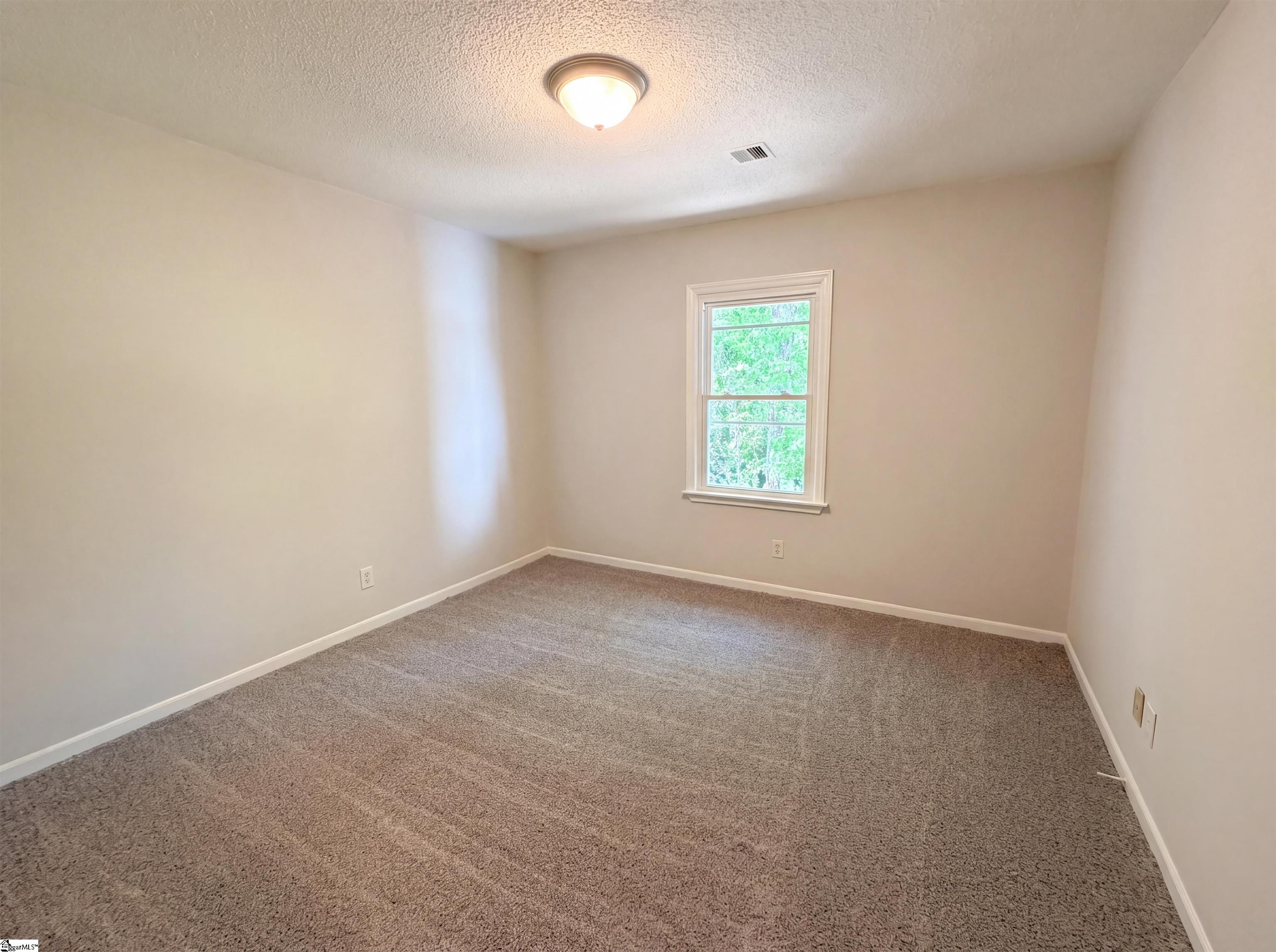 272 Wolfe Lane Inman, SC 29349 - Photo 8 of 19