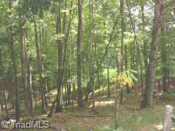 0 Pine Ridge Road Lowgap, NC 27024 - Photo 2 of 4 Other. There are 9 acres of woods. Lot of hard woods.