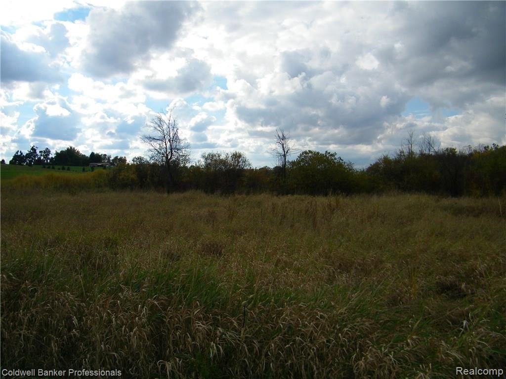 7 Silverwood Road North Branch, MI 48461 - Photo 1 of 1