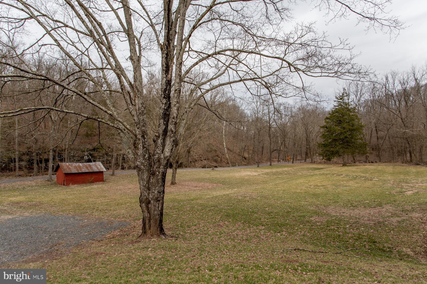 120 Tabor Road Ottsville, PA 18942 - Photo 5 of 60 a view of a yard with trees