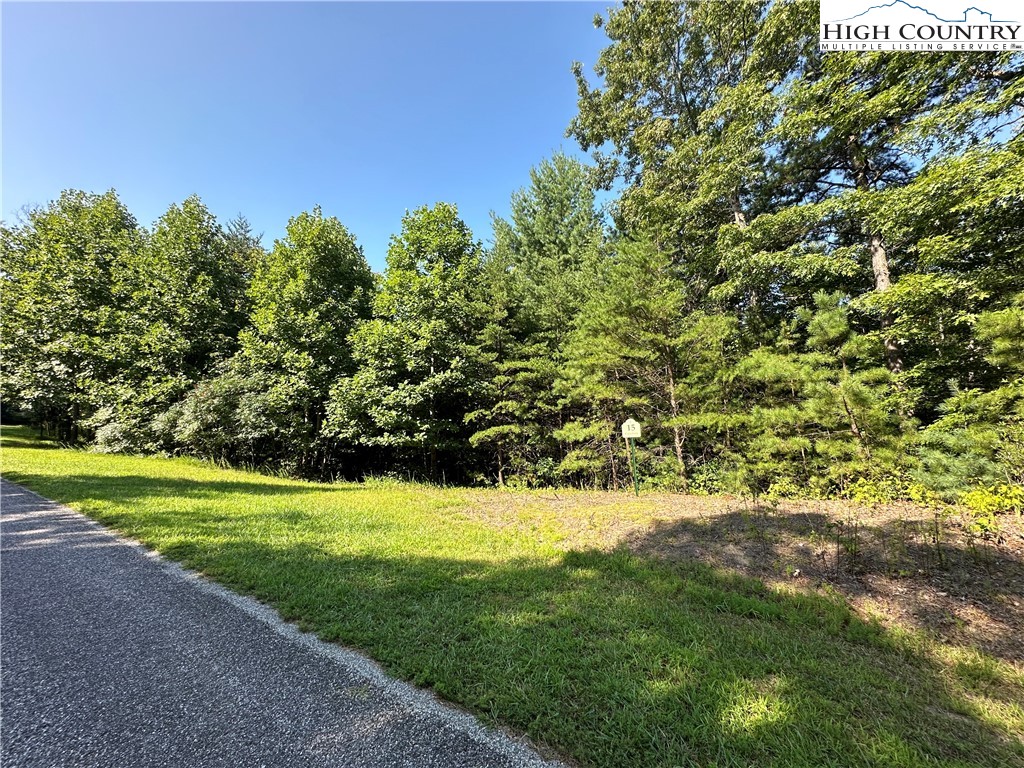 Lot 15 Cielo Ridge Way Purlear, NC 28665 - Photo 3 of 19