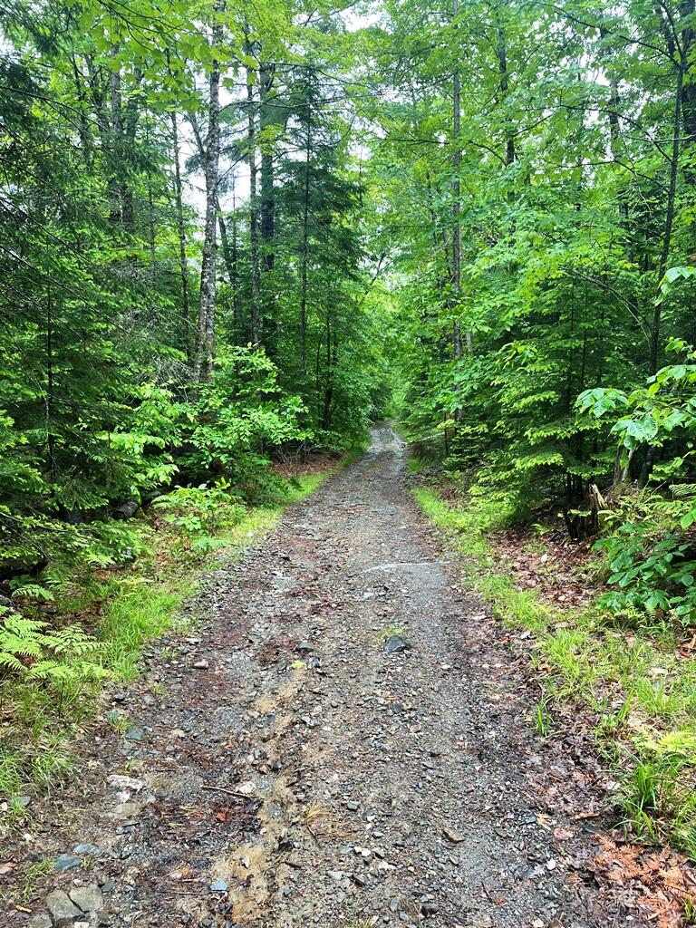 0 Larrabee Road Parkman, ME 04443 - Photo 12 of 21 IMG-8185