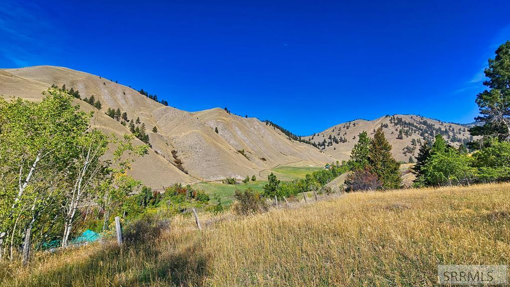 53 Runnin Bear Road Carmen, ID 83462 - Photo 20 of 66