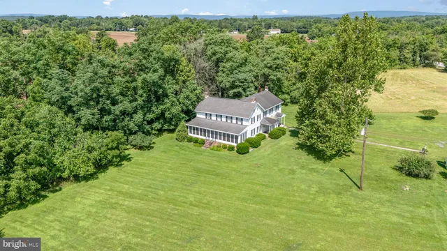 a view of a big yard with large trees