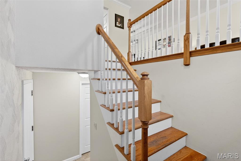 2673 Cathy Ann Drive High Ridge, MO 63049 - Photo 31 of 48