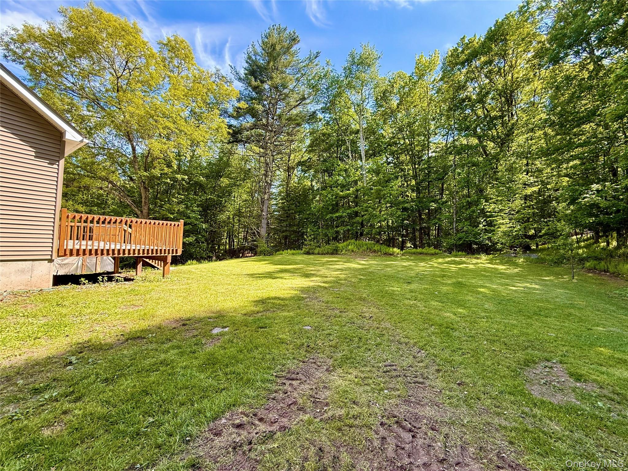 96 Plank Road Mongaup Valley, NY 12762 - Photo 6 of 27