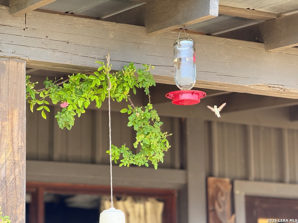 2178 South Ranch Road 783 Harper, TX 78631 - Photo 33 of 36