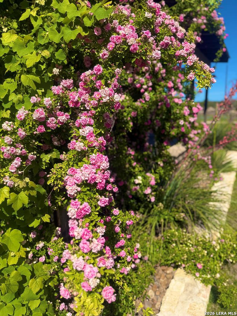 2178 South Ranch Road 783 Harper, TX 78631 - Photo 35 of 36
