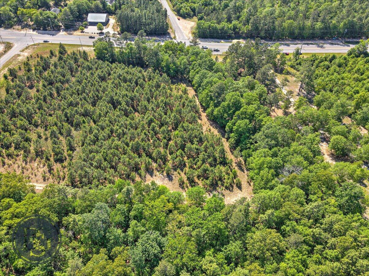 5230 Whiskey Road Aiken, SC 29803 - Photo 6 of 10