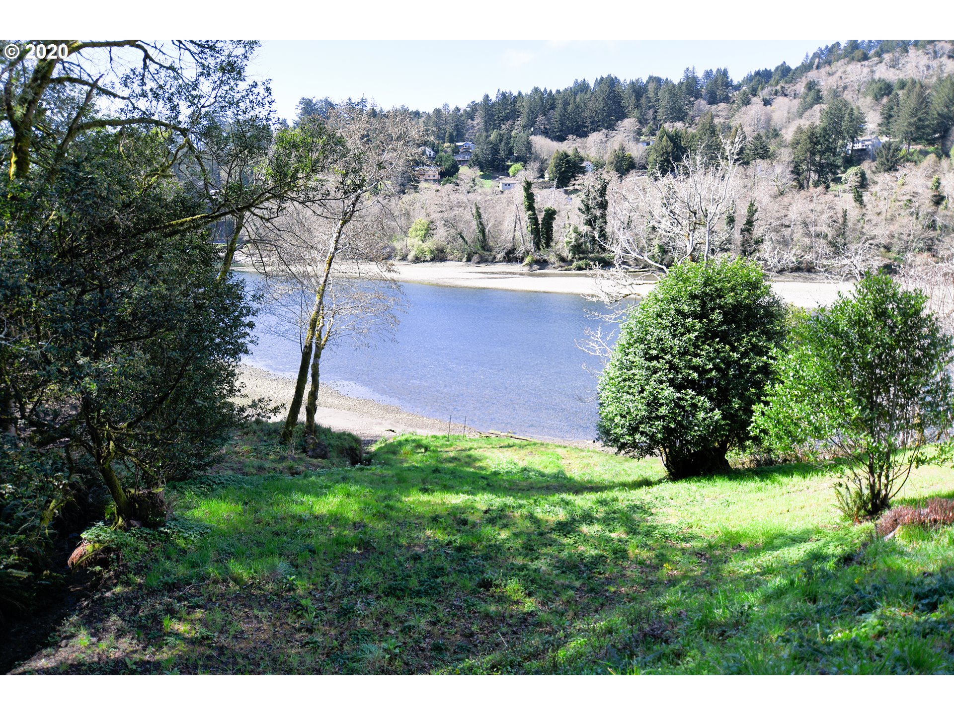 South Bank Chetco Road Brookings, OR 97415 - Photo 1 of 20 a view of a yard with a tree