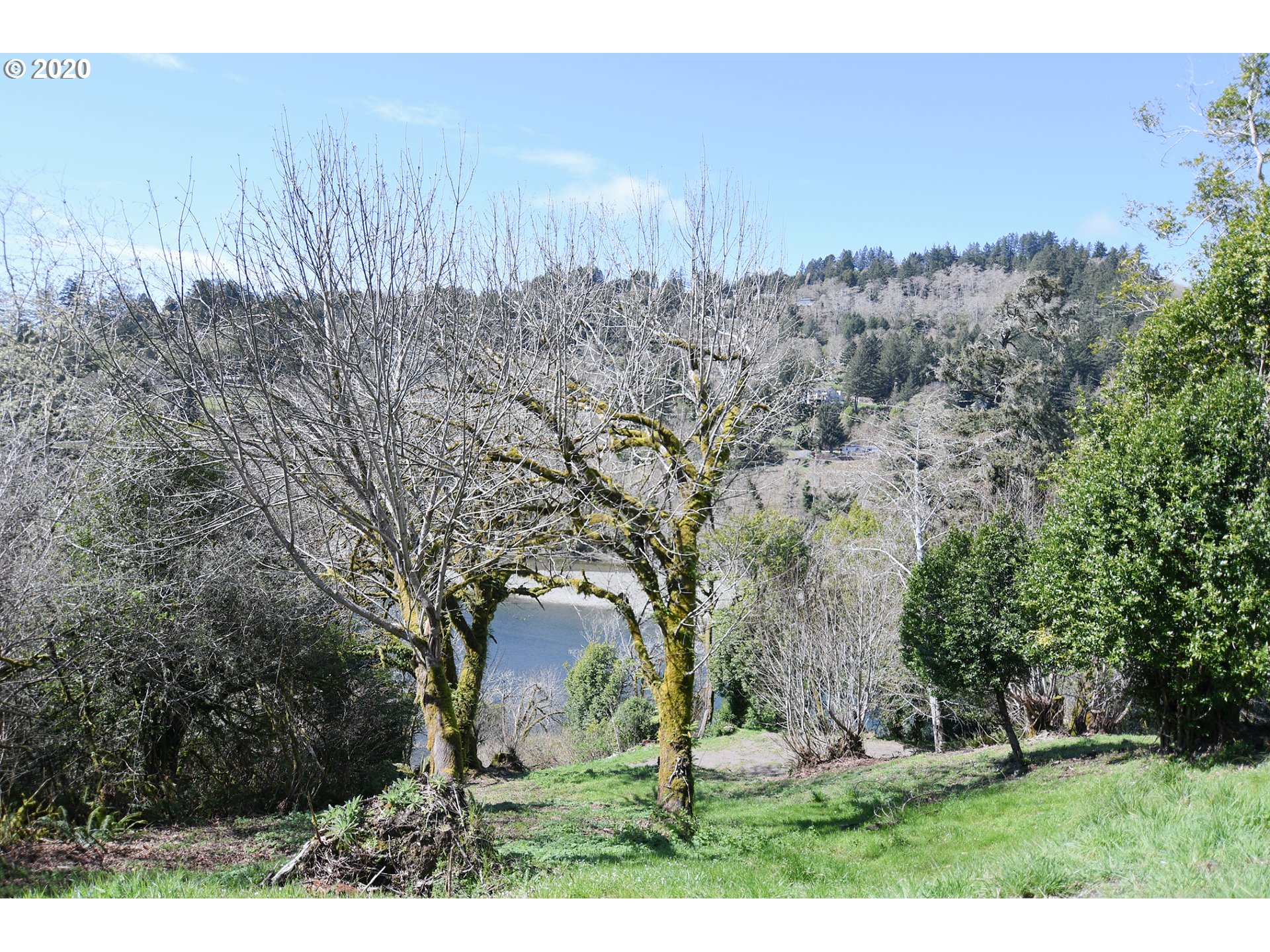 South Bank Chetco Road Brookings, OR 97415 - Photo 2 of 20 a view of a backyard with large trees