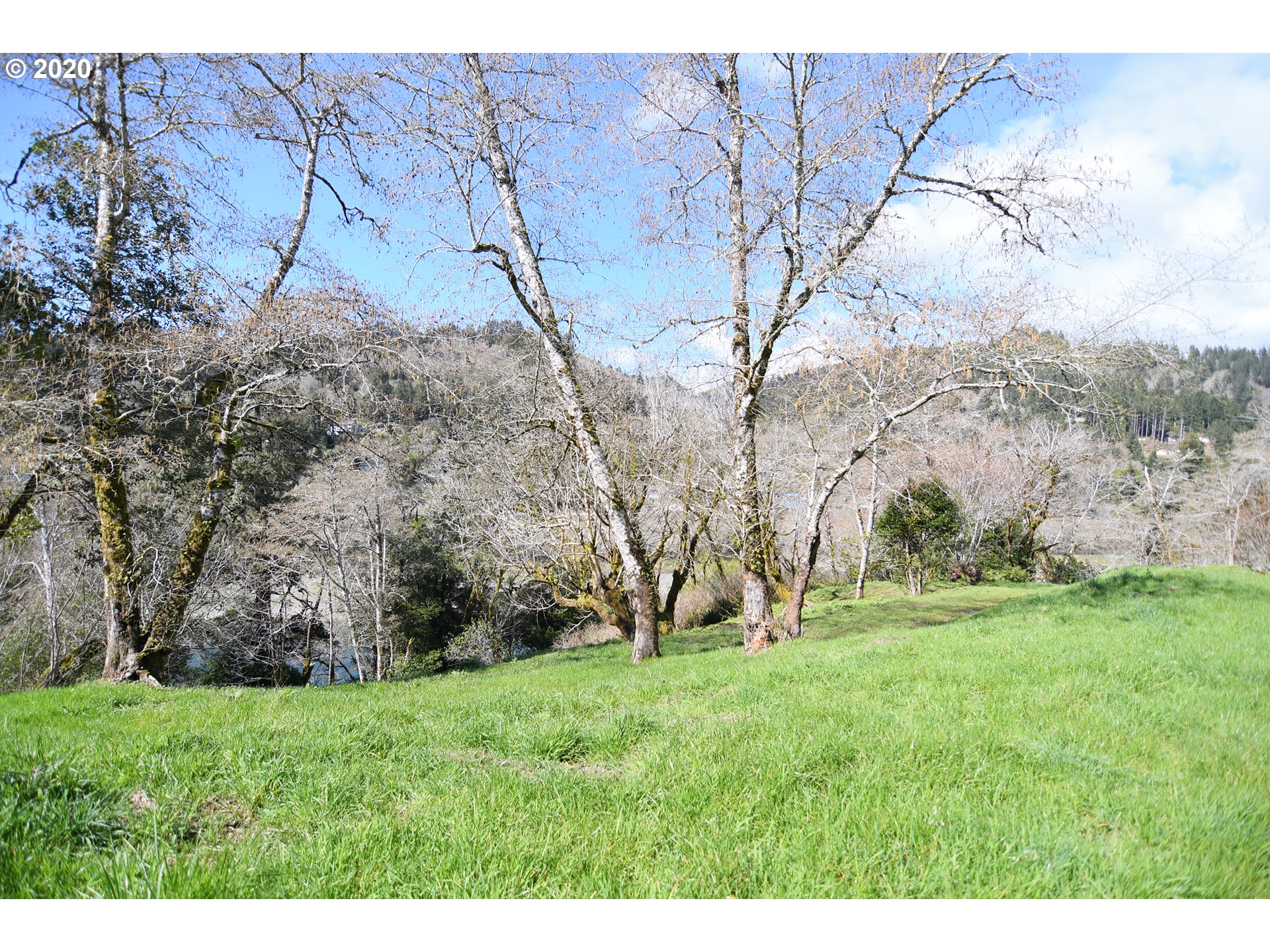 South Bank Chetco Road Brookings, OR 97415 - Photo 15 of 20 a view of yard with mountain