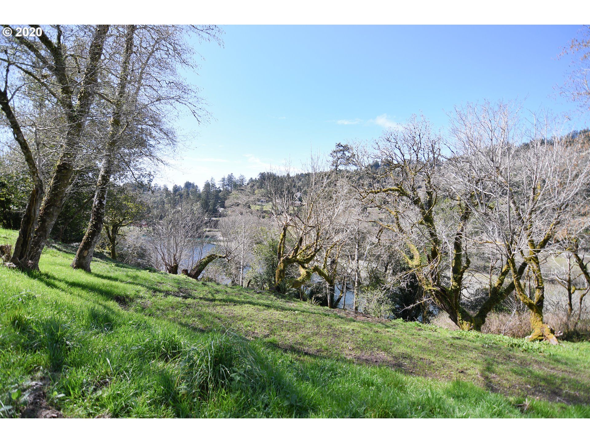South Bank Chetco Road Brookings, OR 97415 - Photo 16 of 20