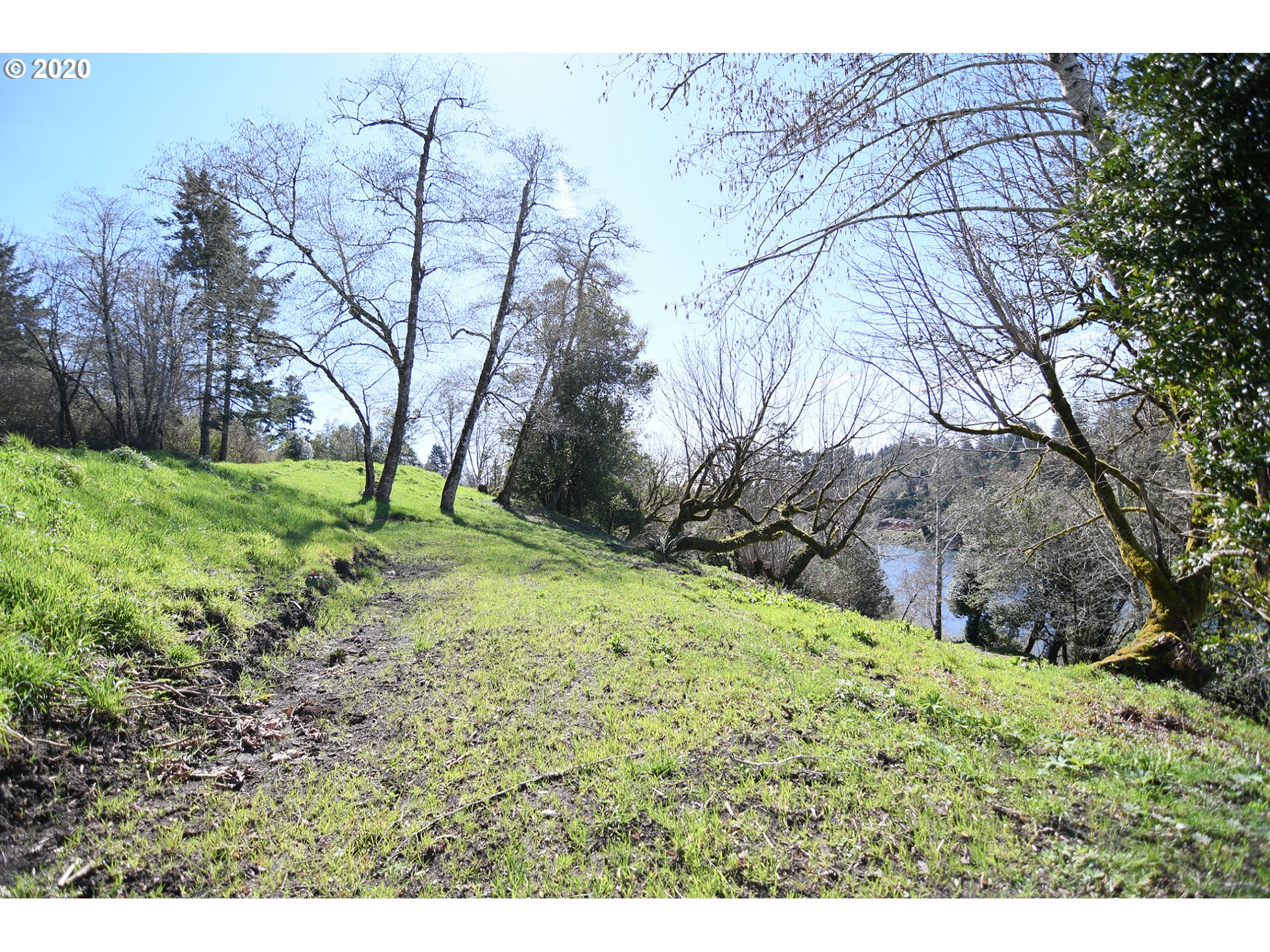 South Bank Chetco Road Brookings, OR 97415 - Photo 17 of 20 a view of backyard with green space