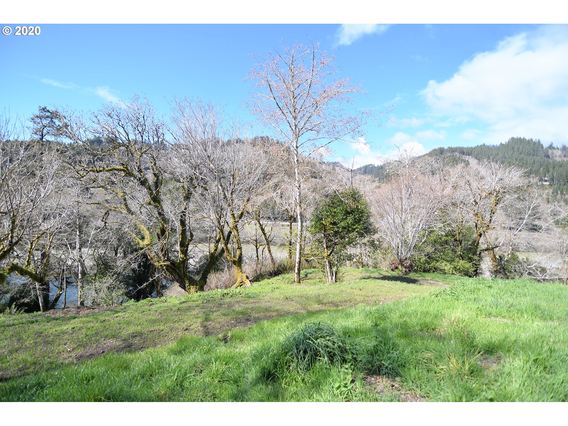 South Bank Chetco Road Brookings, OR 97415 - Photo 18 of 20 a big yard with lots of green space