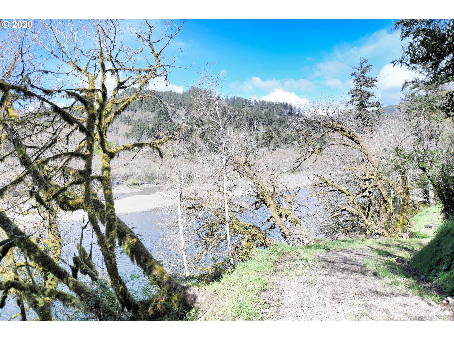 South Bank Chetco Road Brookings, OR 97415 - Photo 9 of 20 a view of a yard with a tree