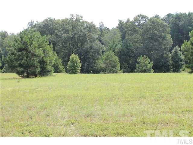 Mann Road Coats, NC 27521 - Photo 3 of 3 Gallery Image 3