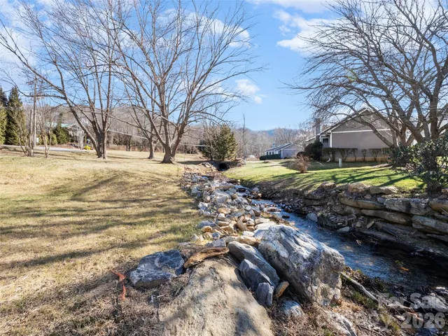 a view of a yard with a large trees