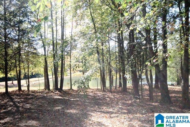 0 County Road 928, Unit 19 Delta, AL 36258 - Photo 6 of 43