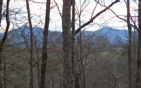 Settlement Road Young Harris, GA 30582 - Photo 1 of 1 Main View