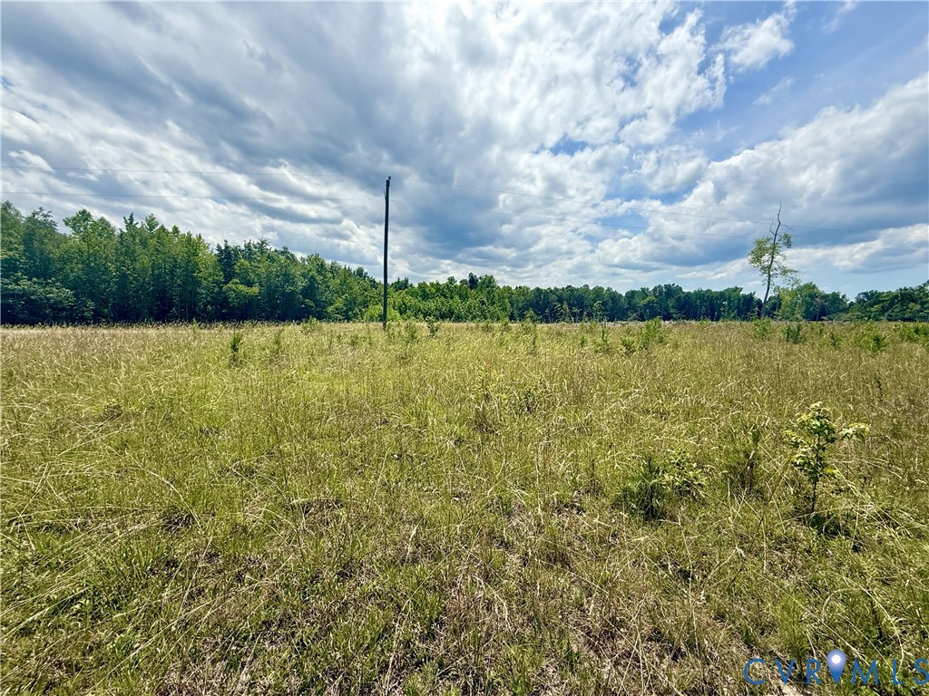 Lot 25 Whispering Wood Road Meherrin, VA 23954 - Photo 7 of 13