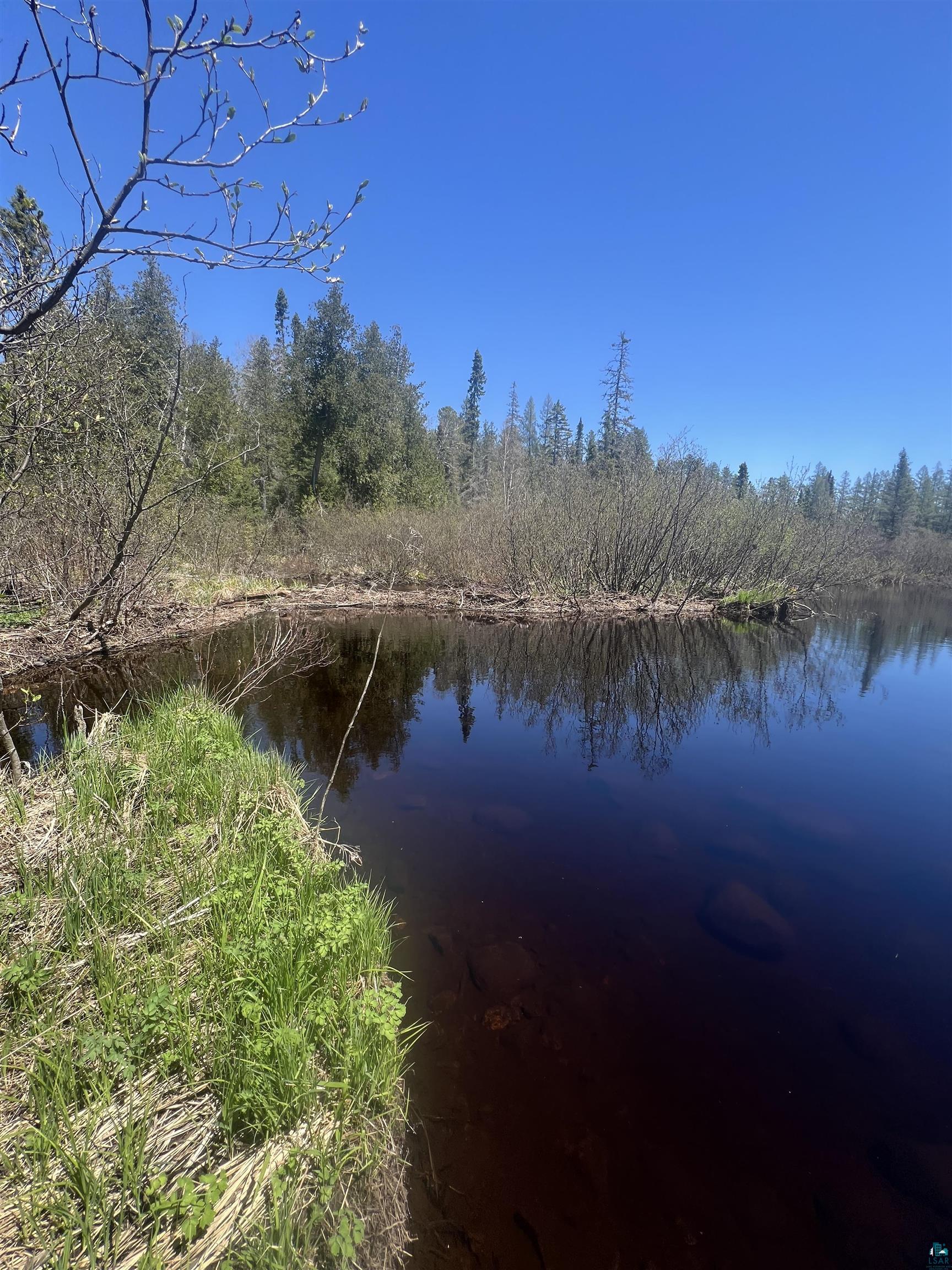 Xxx Xxx Moose Ridge Road Isabella, MN 55607 - Photo 2 of 37
