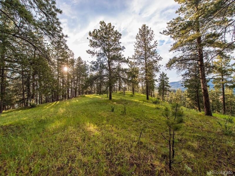 2859 Highlands View Road Evergreen, CO 80439 - Photo 11 of 22 a view of yard with trees